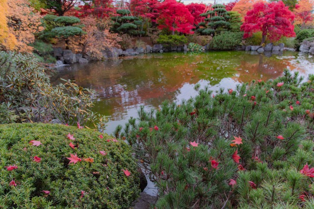 日本庭園