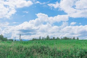 【ジブリのような風景】レンタサイクルで周る、夏の美瑛の撮影スポット。