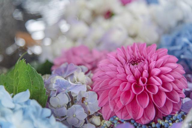 新琴似神社の花手水